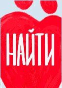 Интернет-баннер «Найти где сдать кровь может только Человек» 240х400