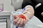 В Адыгее судебные приставы приняли участие в донорской акции