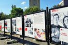 В Измайловском парке открылась фотовыставка, посвященная донорскому движению