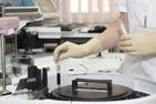 В Челябинске отметят Всемирный день донора костного мозга