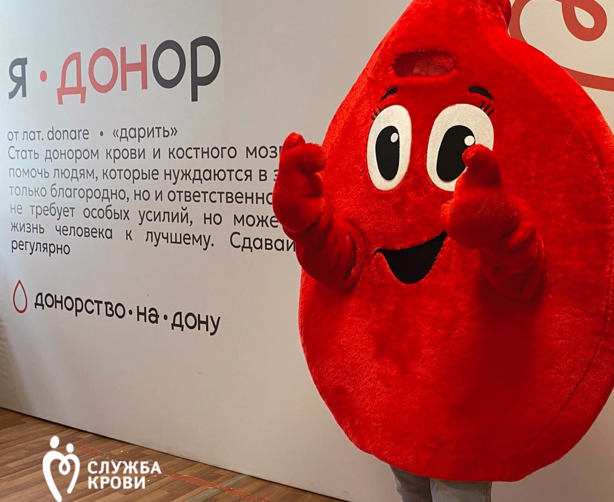 В Ростове 160 человек сдали кровь в донорскую субботу