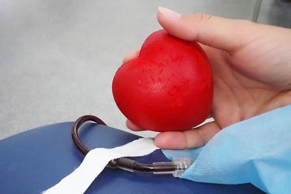В рамках марафона «Энергия жизни» сотрудники Красноярскэнергосбыта сдали 60 литров крови 