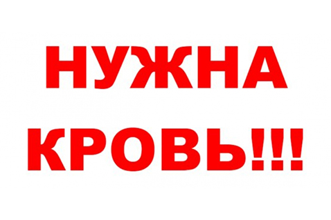 В Ленинградской области катастрофически не хватает доноров крови